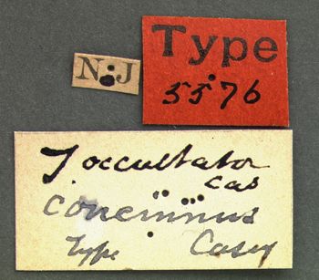 Media type: image;   Entomology 5576 Aspect: labels